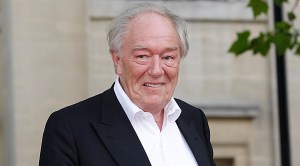 Dumbledore Michael Gambon
