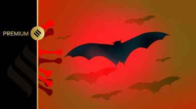 Nipah