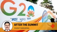 India’s G20 presidency, G20 declaration, New Delhi Declaration, climate change, Digital Public Infrastructure, transformational capacity, global economy, indian express news