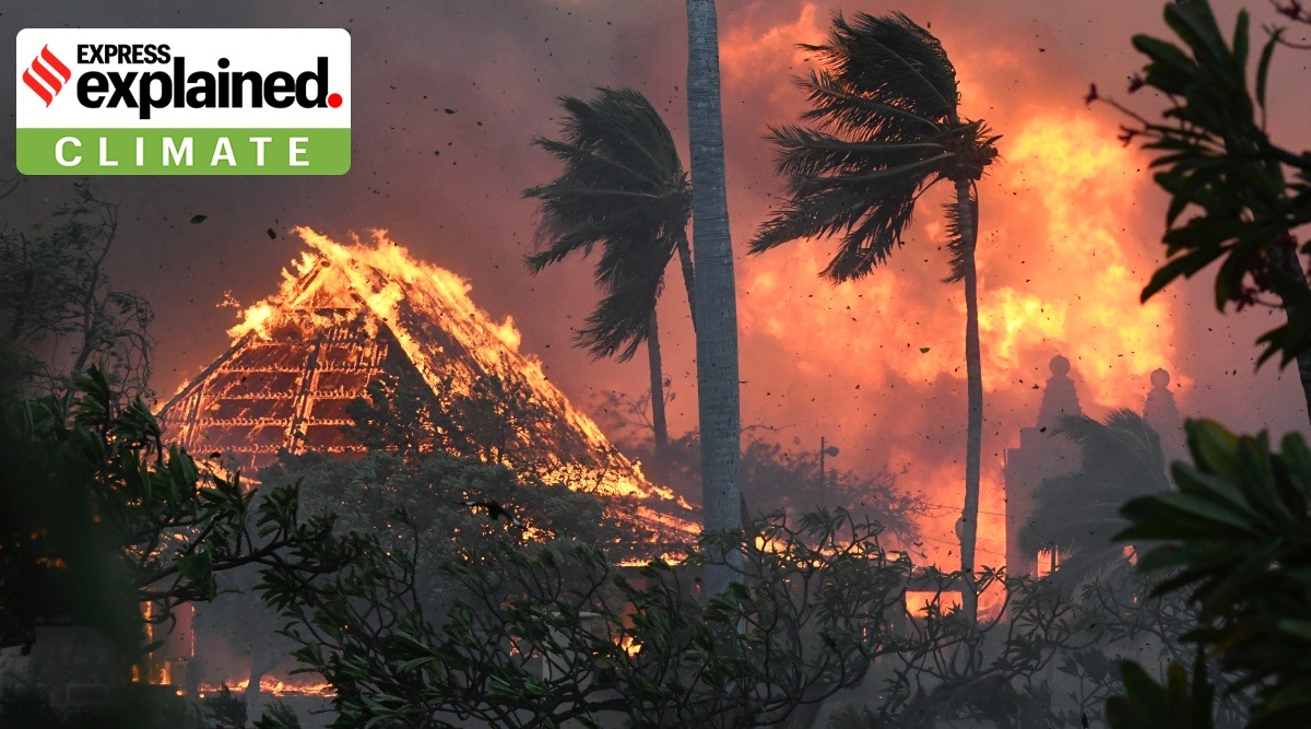 Planetary boundaries breached; the Earth system damaged