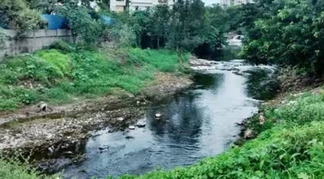 Ramnadi restoration, ecosystem around Ramnadi, Social organisations, holistic sustainable model, social organisations, indian express news