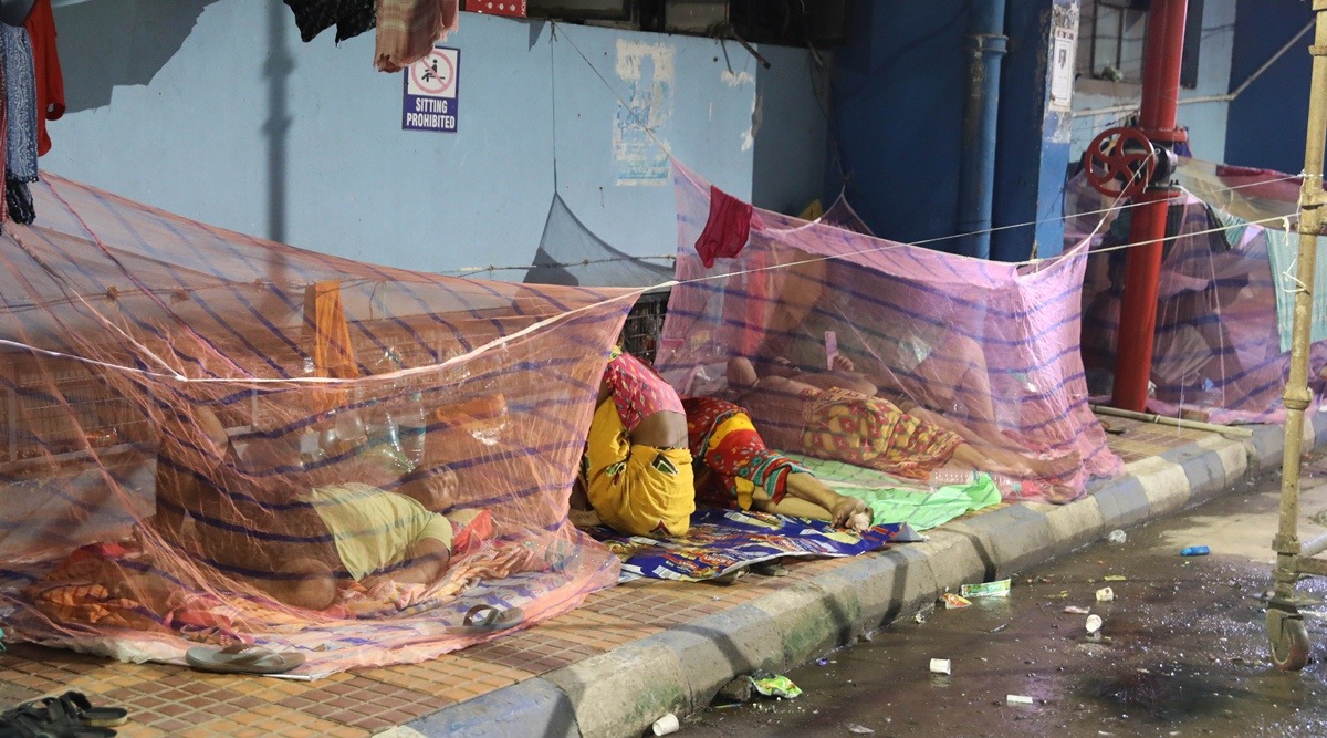 dengue, dengue cases, dengue deaths, dengue fever, Dengue test, Kolkata news, WEst Bengal news, India news, Indian express, Indian express India news, Indian express India