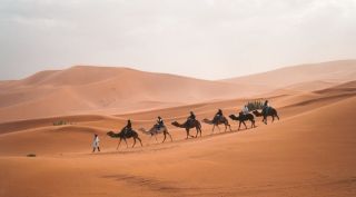 A man leads a pack of camels through the Sahara Desert.