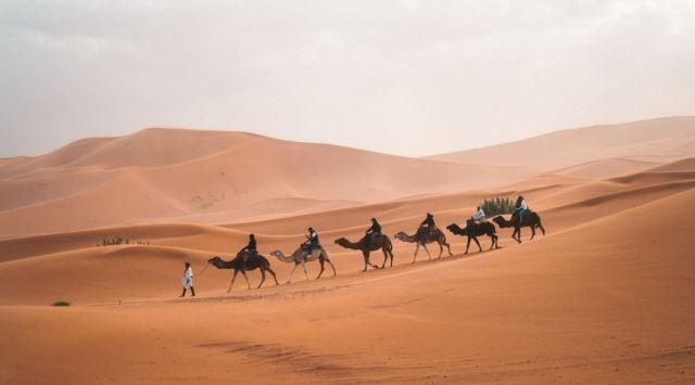 A man leads a pack of camels through the Sahara Desert.