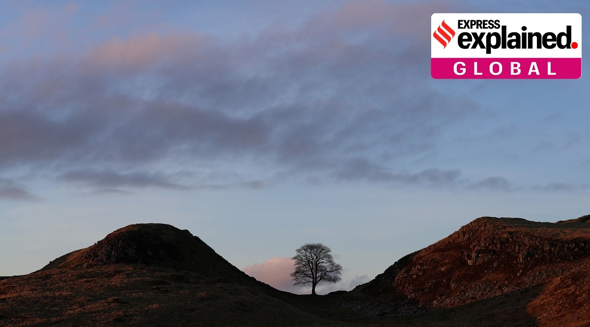Sycamore Gap