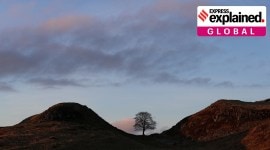 Sycamore Gap