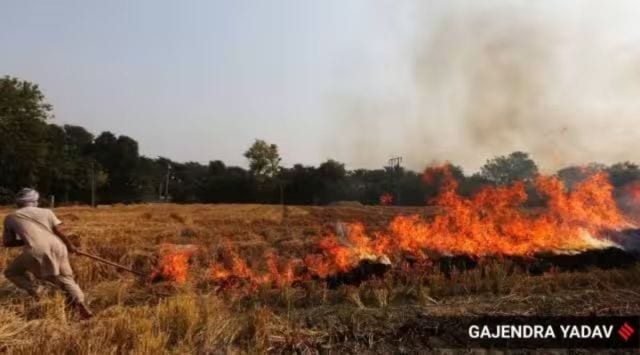 stubble burning