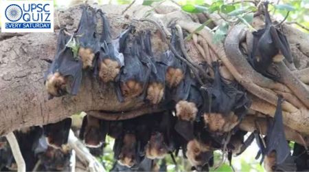 UPSC Weekly Current Affairs Quiz from September 10 to September 16, 2023