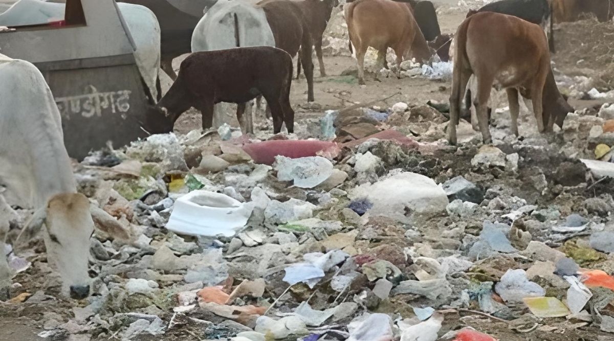 Mohali Despite resolution passed two years ago, civic body fails to