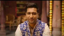 Vicky Kaushal, The Great Indian Family box office