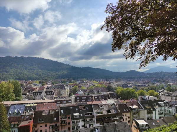 Life in a Foreign University: Abhishek Srivastava