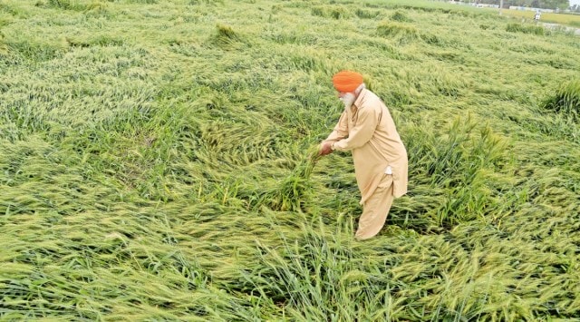 Agricultural Statistics, Agricultural Statistics portal, Unified Portal for Agricultural Statistics (UPAg), online platform for management of agricultural data. India news, Indian express, Indian express India news, Indian express India
