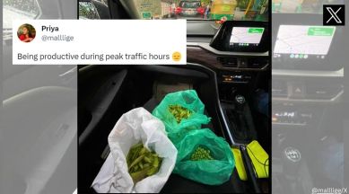 The woman peeled peas in her car while it was stuck in traffic.
