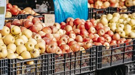 apple, pune wholesale market, prices, indian express