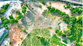 India’s bamboo biodiversity, Yamuna floodplains, Lakshadweep island in the Arabian Sea, delhi news, India news, Indian express, Indian express India news, Indian express India