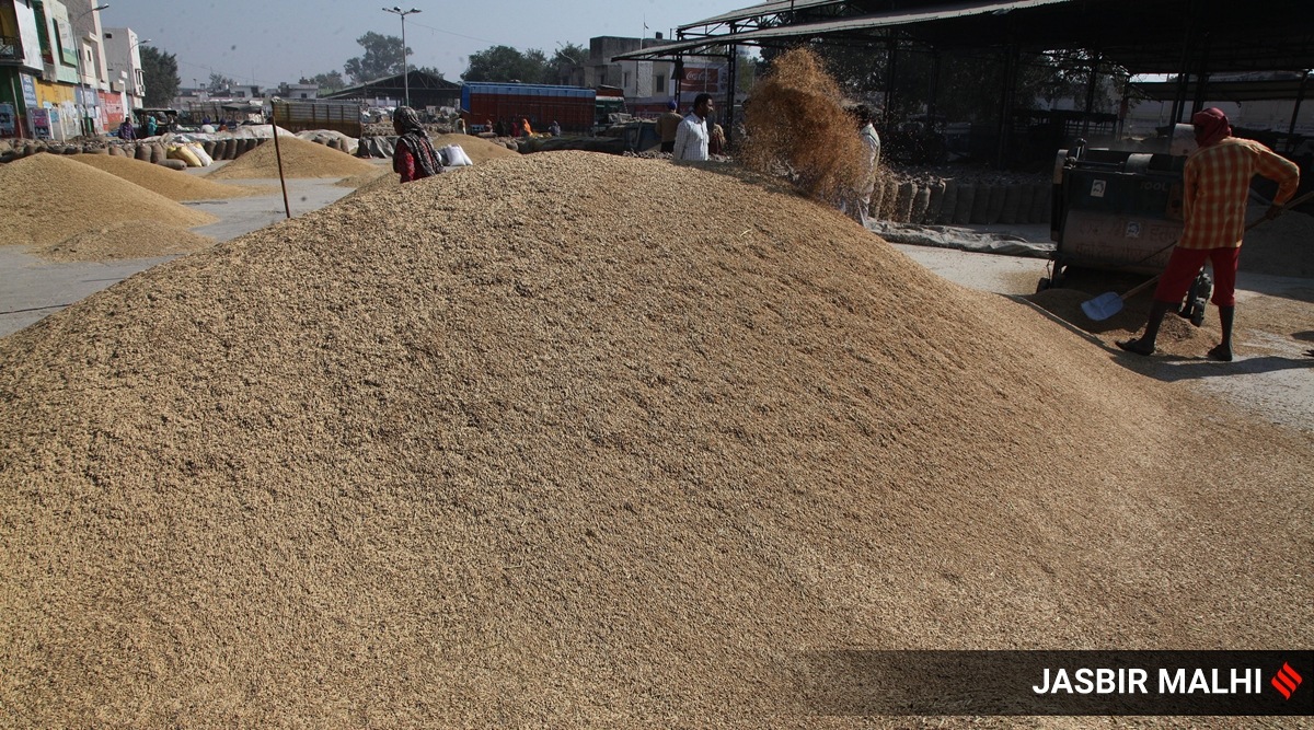 Centre assures to lower floor price for Basmati export by 850/tonne