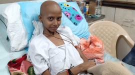 cancer, palliative care