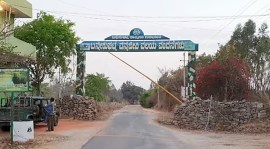 Bannerghatta Biological Park