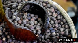 world coffee conference bangalore