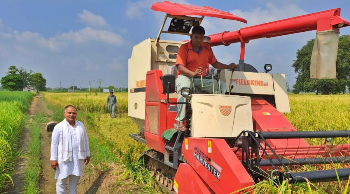 Farmers call for lifting of basmati export curbs India News The
