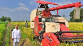 basmati, Basmati crop, basmati rice, basmati export curbs, basmati rice export curbs, India news, Indian express, Indian express India news, Indian express India