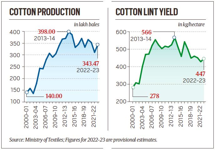 Cotton production: ET explainer: Status of India's pilot to boost