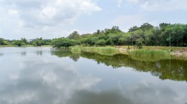 cover sompura lake, lakes of bengaluru, Banashankari VI stage