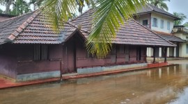 M S Swaminathan, MS Swaminathan, Kerala’s Mankombu, Kerala’s farming village, India news, Indian express, Indian express India news, Indian express India