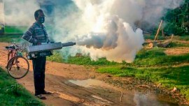 west bengal dengue situation, dengue emergency meeting in Bengal, Kolkata dengue, dengue cases in Kolkata, dengue vector control, Kolkata dengue news