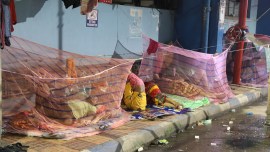 Dengue news, Kolkata Dengue, Bharati Pravin Pawar on dengue, Bengal dengue cases, data on dengue cases, vector-borne disease control programme, Kolkata malaria, indian express news