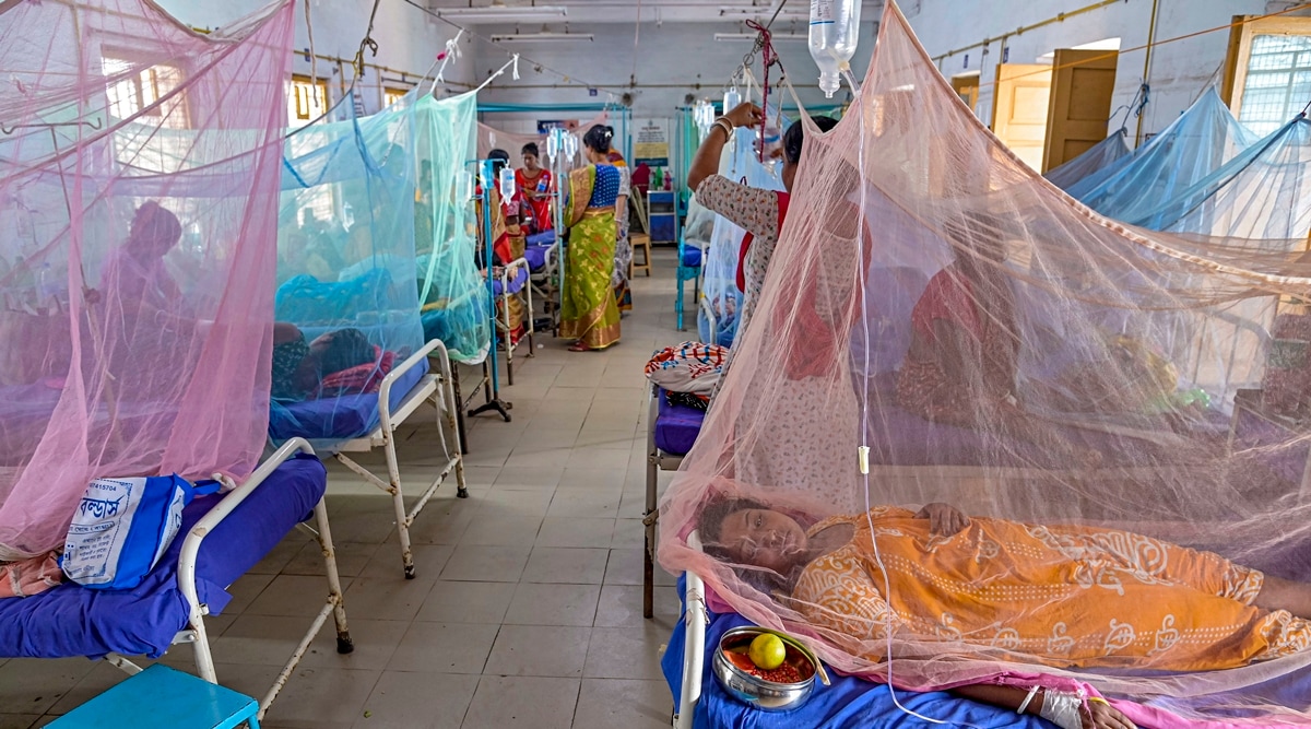 Dengue cases will be minimised in 2 weeks, no need to panic: Bengal ...