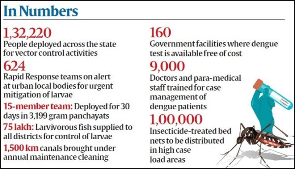 dengue, dengue cases, dengue deaths, dengue fever, Dengue test, Kolkata news, WEst Bengal news, India news, Indian express, Indian express India news, Indian express India
