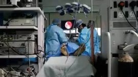 gall bladder NCDRC