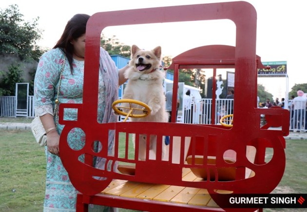 dog park