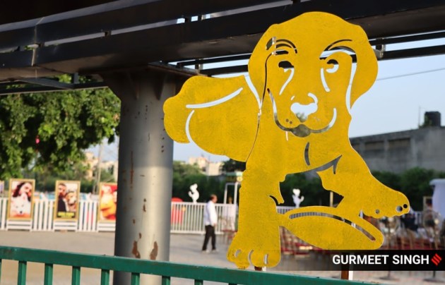 dog park