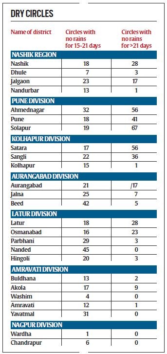 Western Maharashtra districts, not Marathwada, bear brunt of dry spell