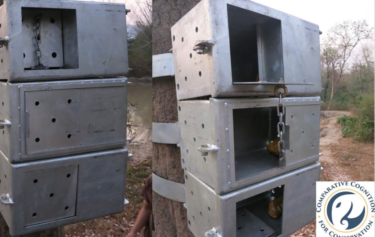 steel puzzle boxes used in elephant intelligence and innovation study