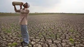 90% rain deficit in August, all Gujarat farmers to get 2 extra hours of electricity for irrigation