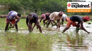 September rain relief