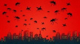 mosquito climate change