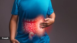 gut health