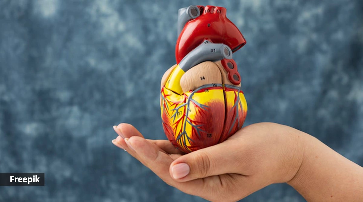 coronary artery disease, heart disease, heart health, world heart day