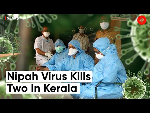 Nipah Virus In Kerala Two Die And Four Under Observation-The Indian Express