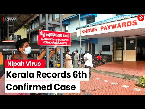 nipah virus latest news malayalam