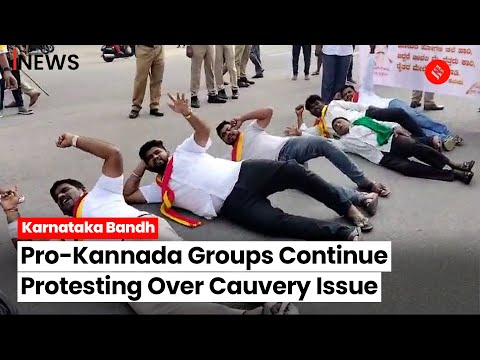 Karnataka bandh pro kannada activist and several associations hit