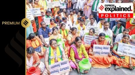 Cauvery protests, Bengaluru bandh