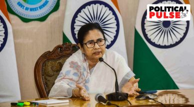 mamata