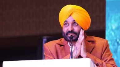 Punjab AAP Mann in 2024 Lok Sabha elections
