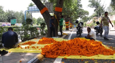 G20 summit, delhi G20, G20 preparations, marigold garlands welcome delegates, G2o delegates in India, G2o delegates welcome, beautification of delhi, indian express news