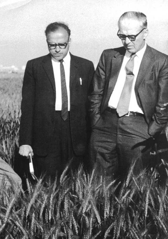 Nobel laureate Norman Ernest Borlaug with MS Swaminathan. File/MSSRF